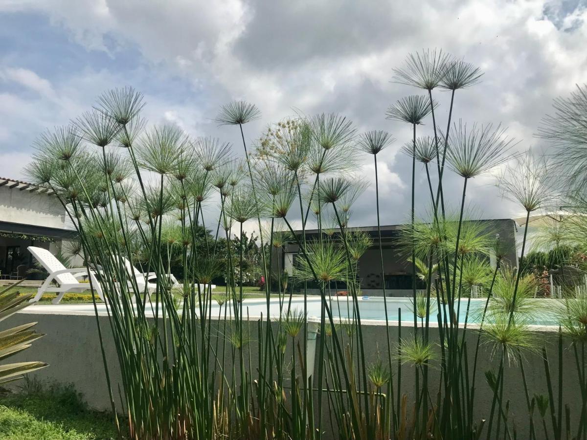 Torcaza Casa De Campo Quimbaya Luaran gambar